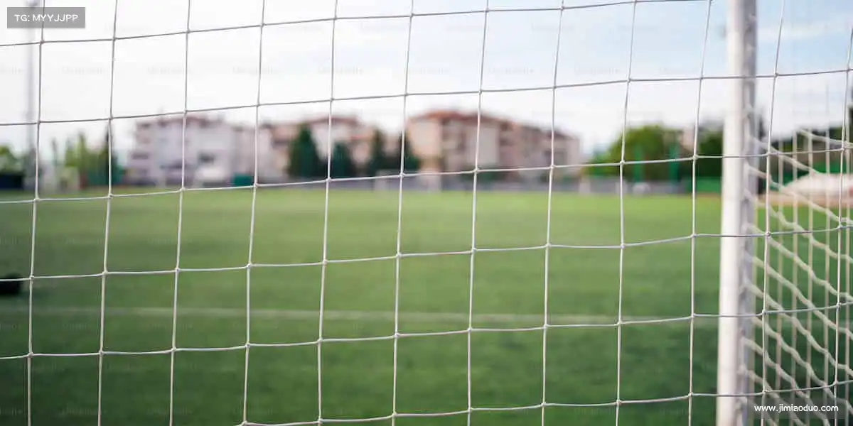 pp电子游戏——🏹瞄准目标,让热爱精准落地!